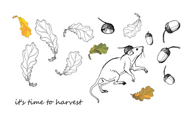 isolated image. white rat, set, oak leaves and acorns. the words 