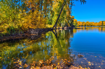 Golden autumn on lakeside - picturesque fall landscape near lake
