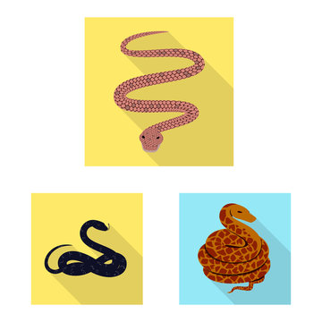 Vector design of skin and reptile sign. Set of skin and danger stock symbol for web.