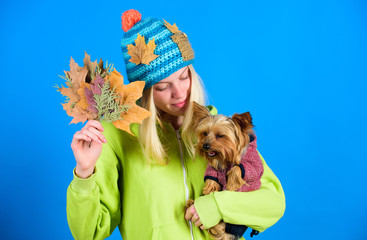 Veterinary medicine concept. Health care for dog pet. regular flea treatment. Pet health tips for...