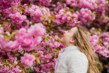 Botany concept. Kid enjoying cherry blossom sakura. Flowers as soft pink clouds. Sniffing flowers. Child enjoy warm spring. Girl enjoying floral aroma. Kid on pink flowers of sakura tree background