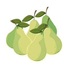 pears fresh fruit in white background