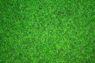 Fototapeta premium Grüner Hintergrund