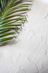 Tropical beach. Green palm leaf lies on the white fine sand. Close-up, top view, desktop wallpaper.