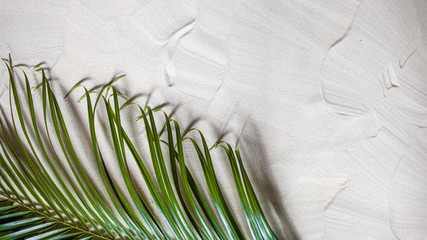 Tropical beach. Green palm leaf lies on the white fine sand. Close-up, top view, desktop wallpaper.