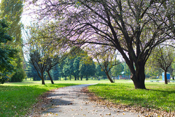 Photo of Footpath in park