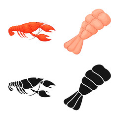 Obraz premium Vector design of appetizer and ocean logo. Collection of appetizer and delicacy stock vector illustration.