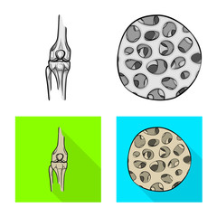Vector design of medicine and clinic icon. Set of medicine and medical stock symbol for web.