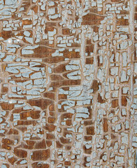 Cracked paint on wooden background, texture. Vintage wallpaper