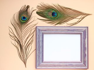 Obraz premium Clothing and home decoration. Beautiful peacock's feathers and violet frame on light pink background. Top view with place for text.
