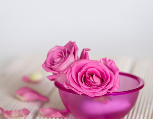Pink Roses In A Pink Bowl
