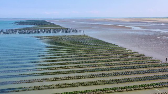 Aerial over French mussel farm at Utah Beach, Normandy, France.