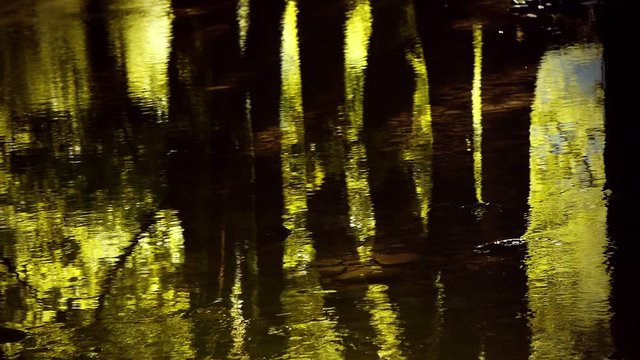 Reflections and transparency in impressionist abstract nature background