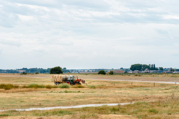 Fototapeta na wymiar Tractor transportating bales of hay in countryside in Normandy