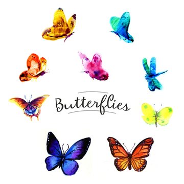 Drawing butterflies watercolor