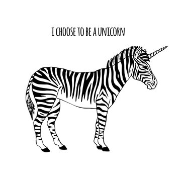Vector hand drawn sketch zebra unicorn isolated on white background. I choose to be a unicorn print
