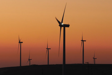 Windmills at sunset in the countryside