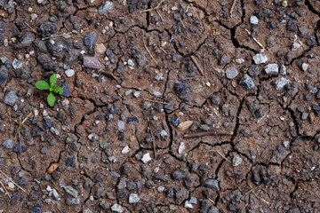 dry ground texture