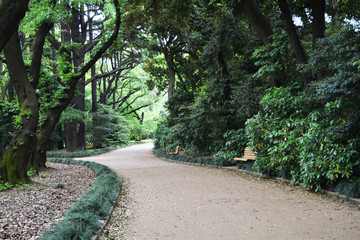 Japan park
