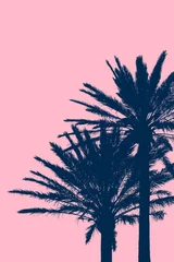 Foto auf Acrylglas Candy Pink Tropischer Ferien-Hintergrund mit silhouettierten Palmen mit rosa Hintergrund-Kopien-Raum