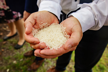 Male wedding guest hands holding traditional rice for throwing it on newlyweds