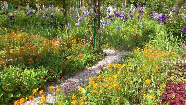 Flowers grow in the garden of Claude Monet in Giverny France.