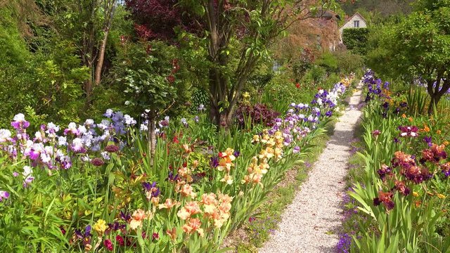 Flowers grow in the garden of Claude Monet in Giverny France.