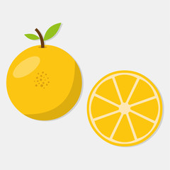 fresh orange fruit isolated vector illustration