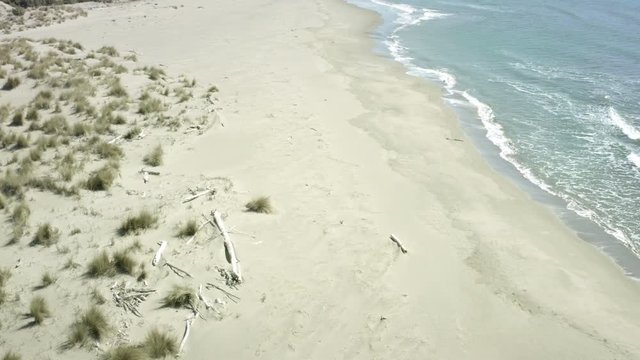 Mediterranean maquis shrubland on unspoilt sea beach