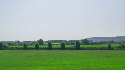Fototapeta na wymiar Dutch polder meadow landscape photo