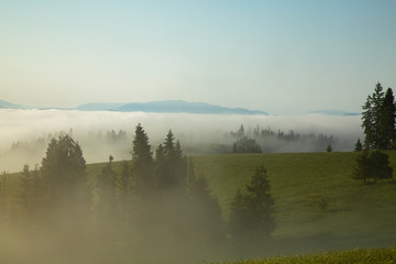 Fototapeta premium The morning sun illuminates a valley filled with fog.