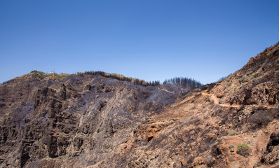 Fototapeta na wymiar Gran Canaria after wild fire