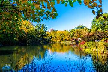 Autumn in Central Park, NYC