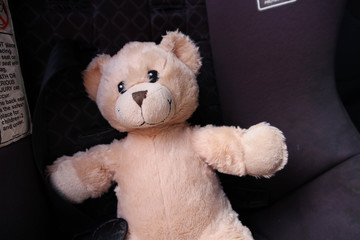 small teddy bear in a child's car seat