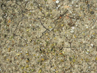 dirt ground with crack texture