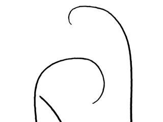 abstract silhouette branch of tree on white background