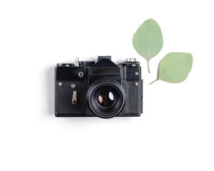 Vintage analog camera with eucalyptus leaves as decoration isolated on white background. Flat lay. Top view. Copy Space