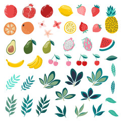 Set of hand drawn fruits in modern hand drawn scandinavian style, tropical garden, pomegranate, citrus, lemon, orange, pineapple, strawberry, watermelon. tropical leaves. Trendy vector illustration