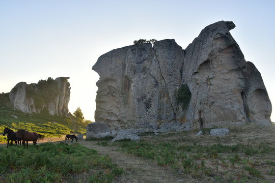 Altopiano dell' Argimusco - Montalbano Elicona- Sicilia Mionti Peloritani . Le pietre possiedono particolari forme, antropomorfe e zoomorfe
