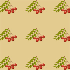 autumn pattern and Wallpapers