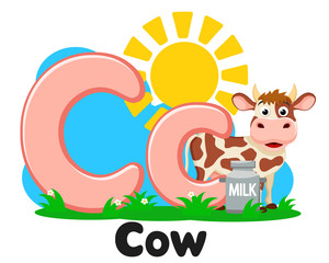 Alphabet cow with milk can, letter Cc on a white. Preschool education.