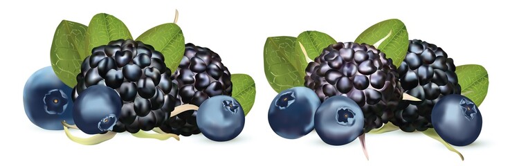3D realistic Blackberry and Blueberry isolated on white background. Set fresh, summer berry with green leaft. Black raspberry and blueberry close up. Vector illustration.