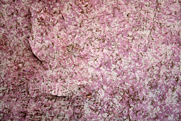 DECAY WALL TEXTURE 2
