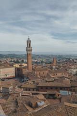 Fototapeta premium Siena View 1