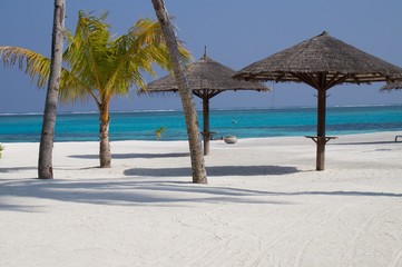 Tropical beach with Palm Trees and Thatched Umbrellas