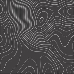 Topographic map. Contour abstract background. Vector illustration.