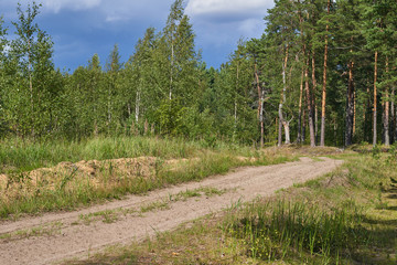 Fototapeta na wymiar Old country dirt road in the middle of the forest