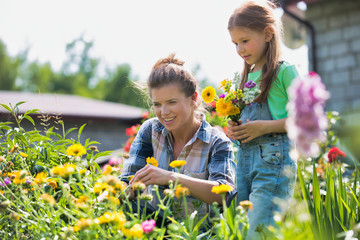 Mother and daughter picking pretty colourful flowes in their organic garden