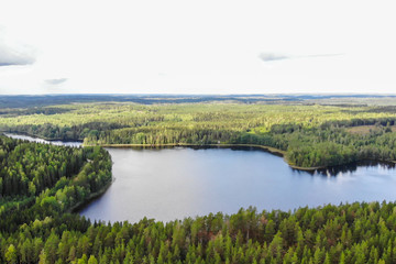 Aerial view of blue lake and green forests on a summer day in Finland. Drone photography