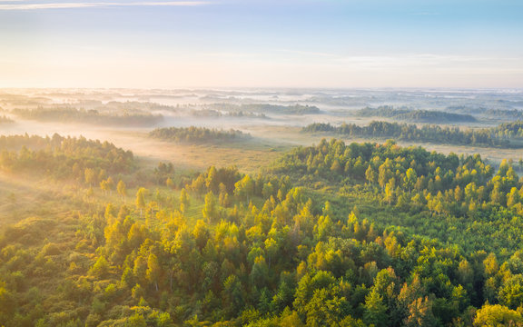 Foggy sunrise at a swamp